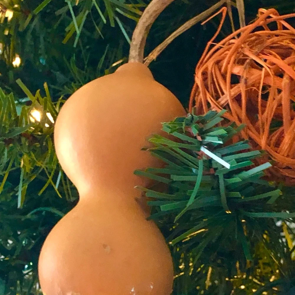 Natural Brown Decorative Gourd Accent - Brand Unbranded